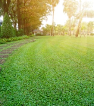 DIENST - tuinaanleg DIENST tuinaanleg